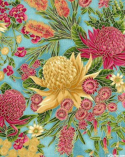 papier peint à fleurs australie,fleur,plante,plante à fleurs,chrysanthèmes,famille protea
