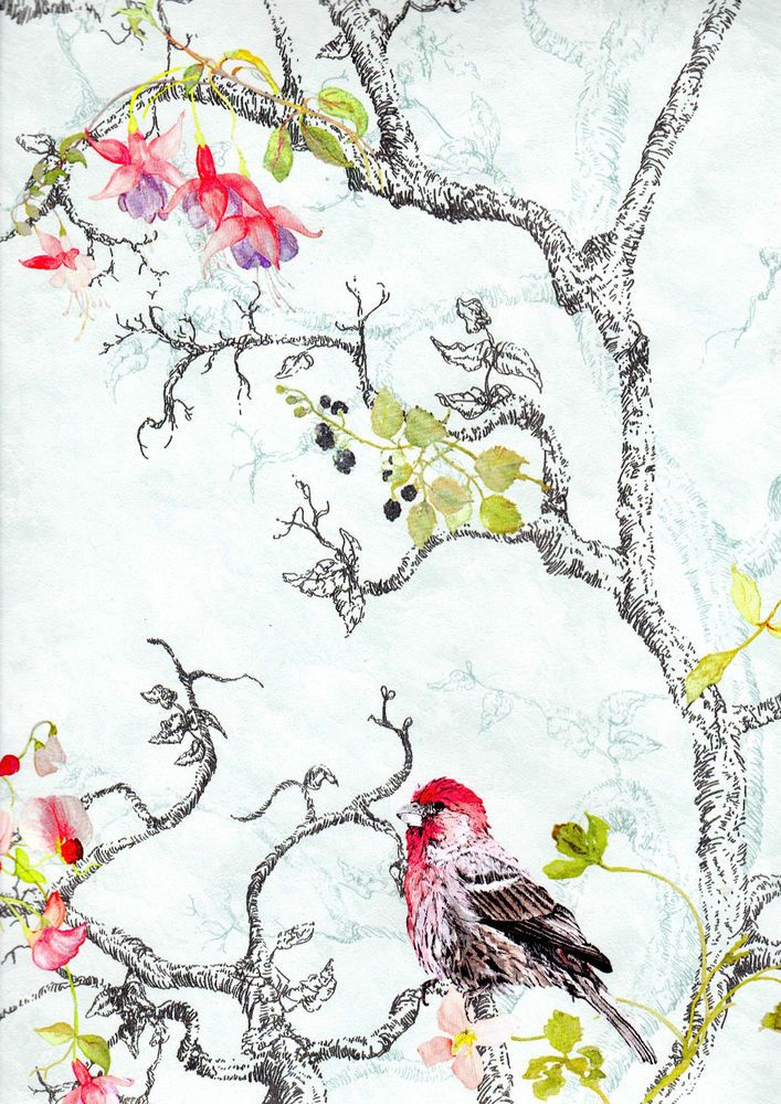 papier peint oiseau floral,oiseau,plante,peinture aquarelle,fleur,dessin