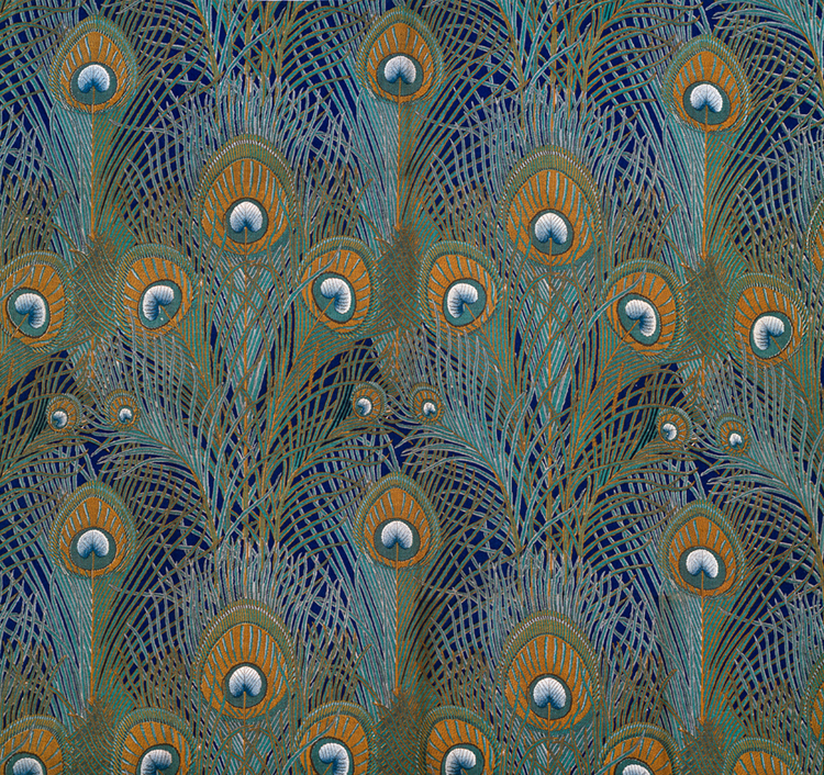 peacock wallpaper uk,pavo real,pluma,azul,modelo,phasianidae (#460443