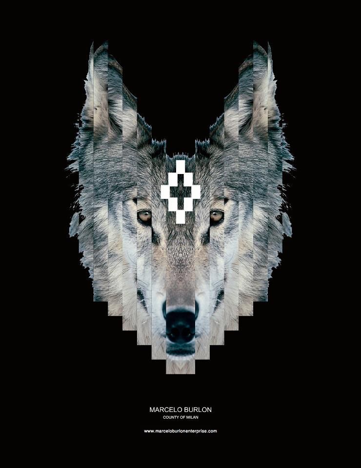 fond d'écran marcelo burlon,loup,tête,faune,illustration,museau