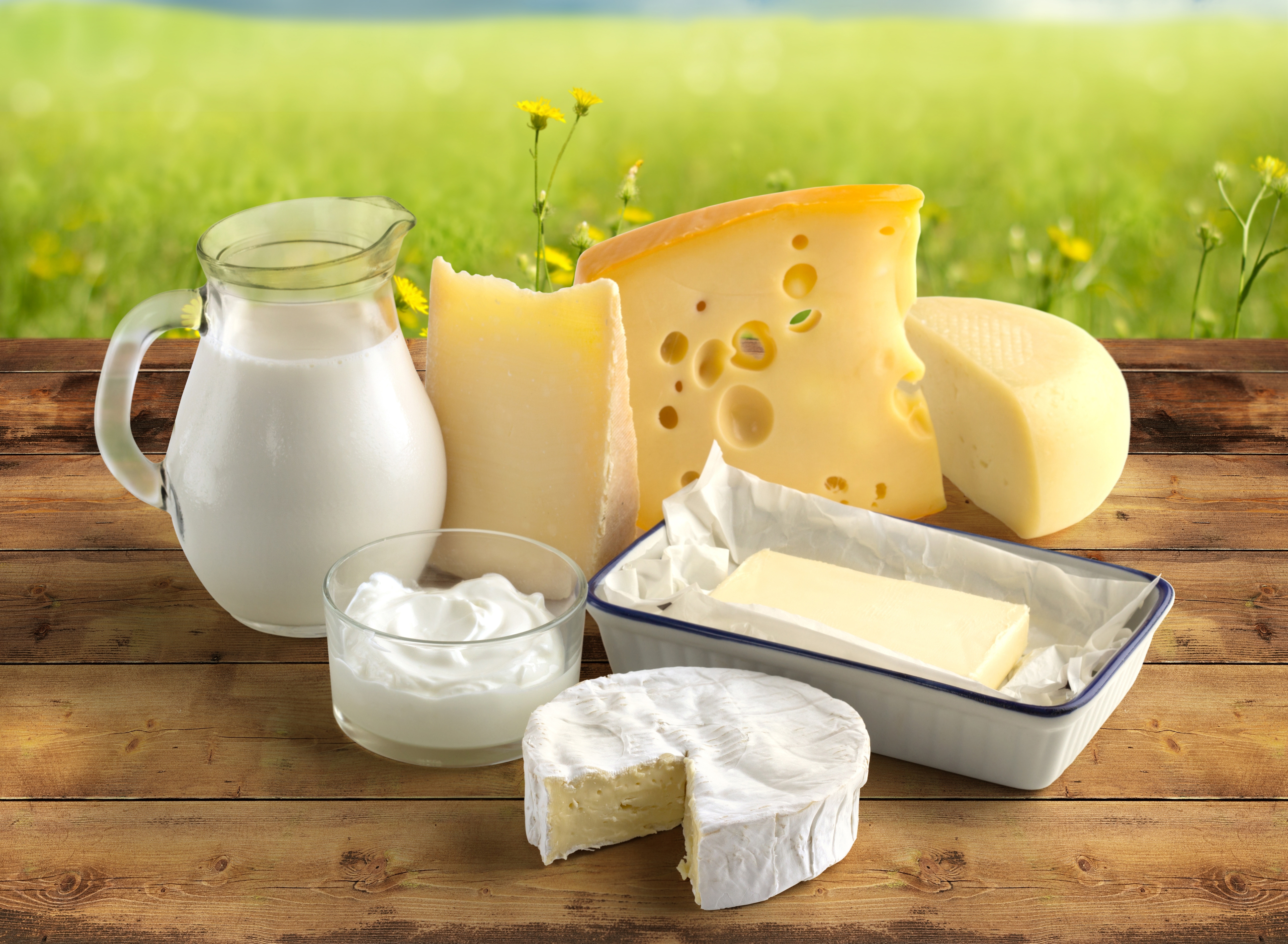 papier peint de beurre,fromage,aliments,fromage fondu,laitier,fiction