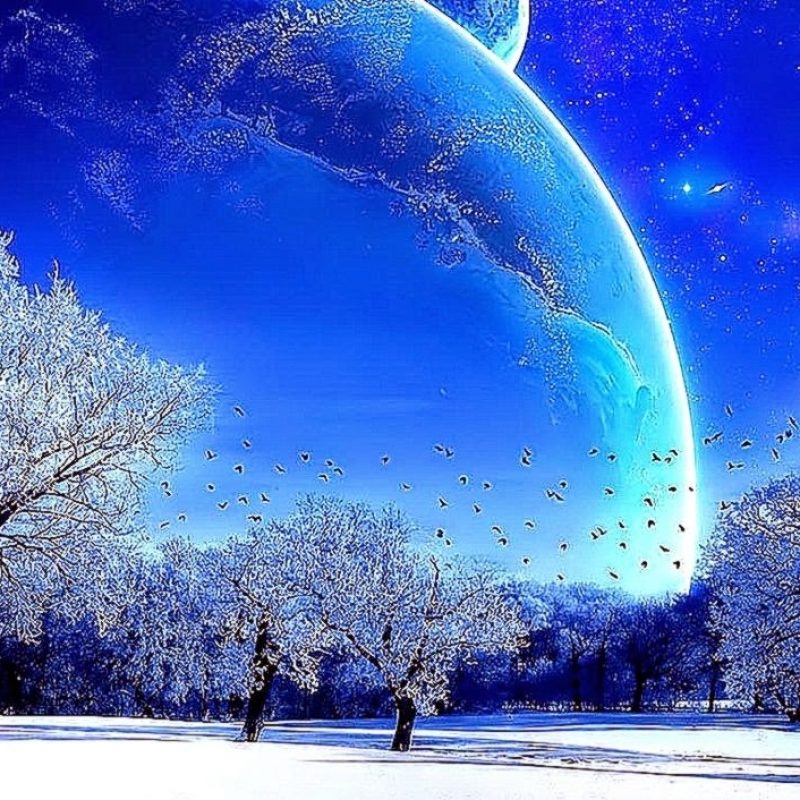 hintergrundbild mit einer auflösung von 1366 x 768,himmel,natürliche landschaft,natur,winter,baum