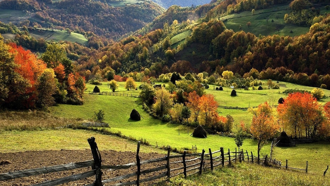 hintergrundbild mit einer auflösung von 1366 x 768,natürliche landschaft,natur,ländliches gebiet,wiese,herbst