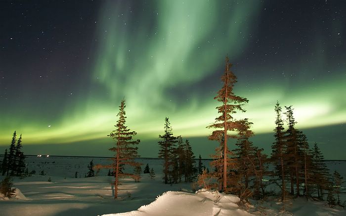 sfondo risoluzione 1366 x 768,aurora,cielo,natura,albero,inverno