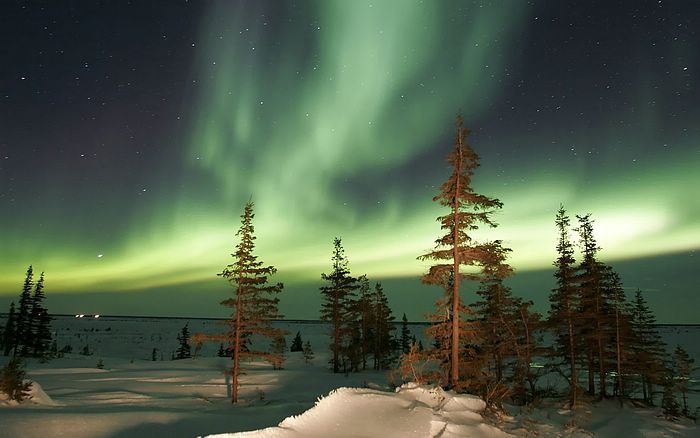 1366 x 768 resolution wallpaper,aurora,sky,nature,tree,winter