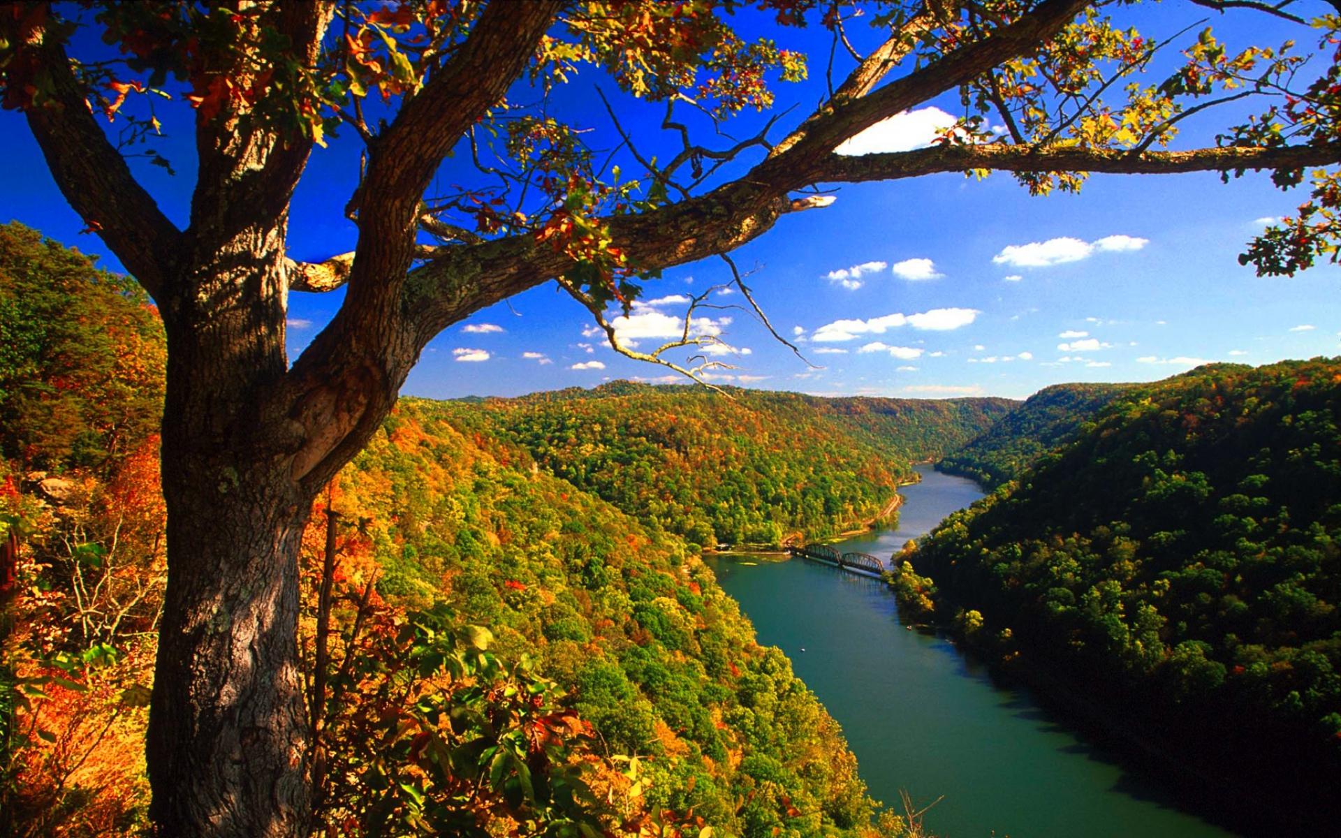 fond d'écran de la virginie,paysage naturel,la nature,arbre,feuille,ciel