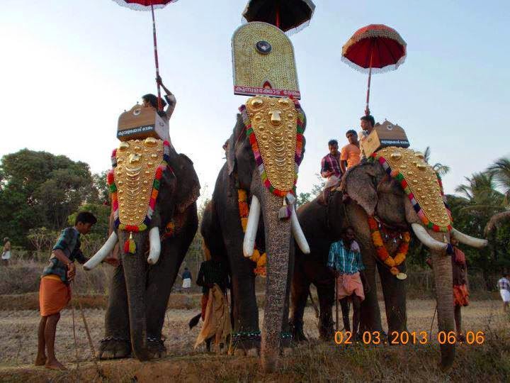 fondos de pantalla de karnan,elefante,elefante indio,elefantes y mamuts,templo,animal de trabajo