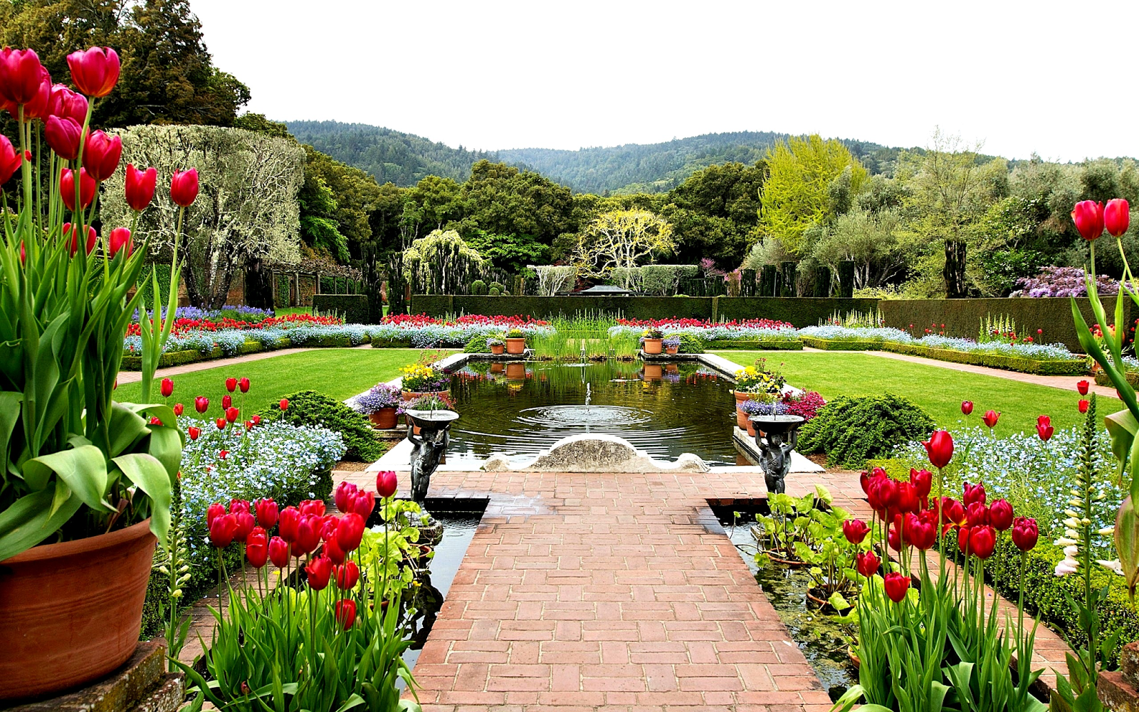 impresionantes fondos de pantalla de la naturaleza,jardín,jardín botánico,paisaje natural,naturaleza,flor