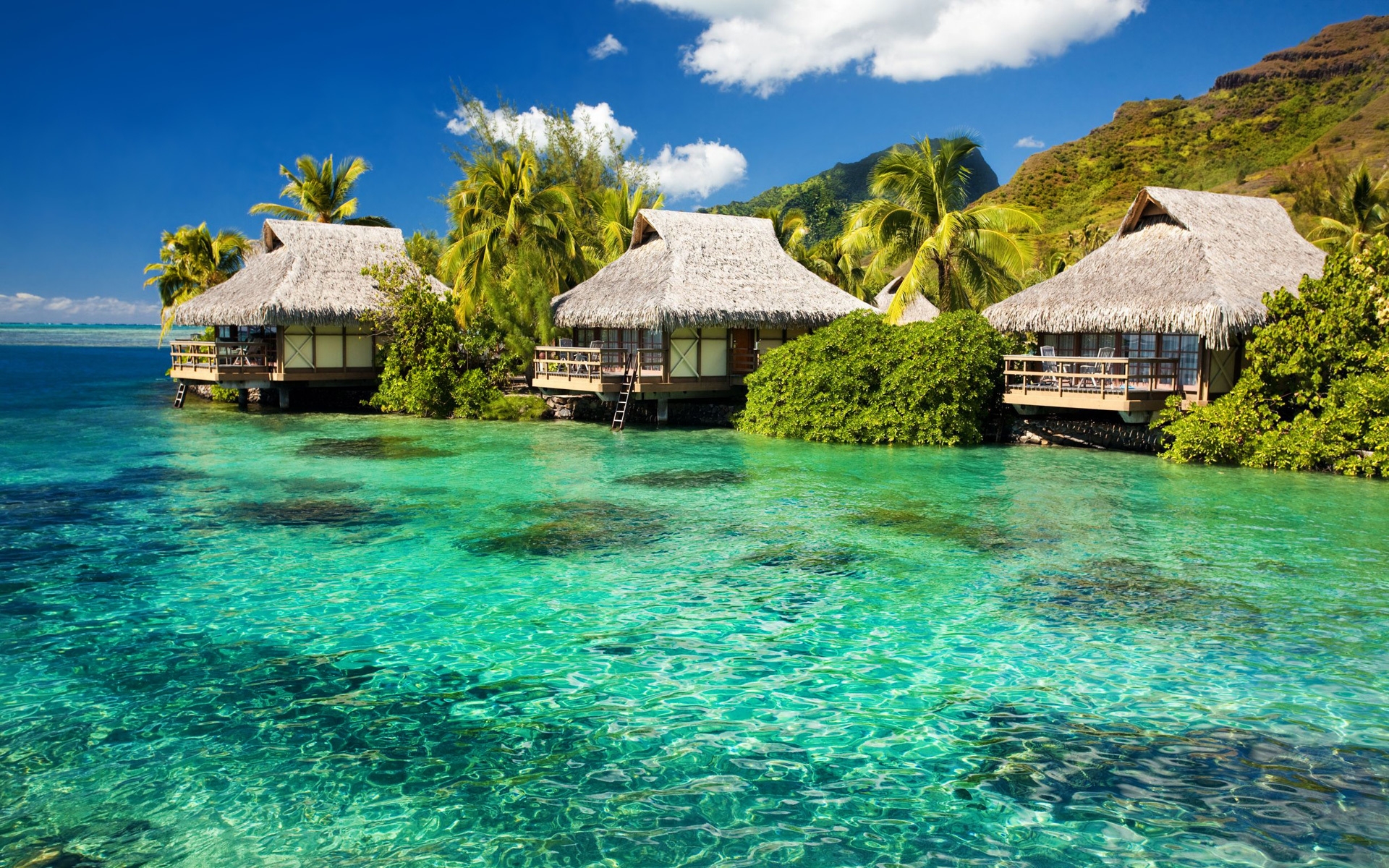 grandi sfondi hd,paesaggio naturale,ricorrere,proprietà,laguna,caraibico