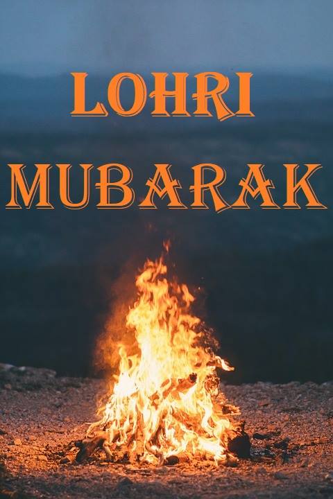 fondo de pantalla de lohri,hoguera,calor,fuego,fuego,hoguera