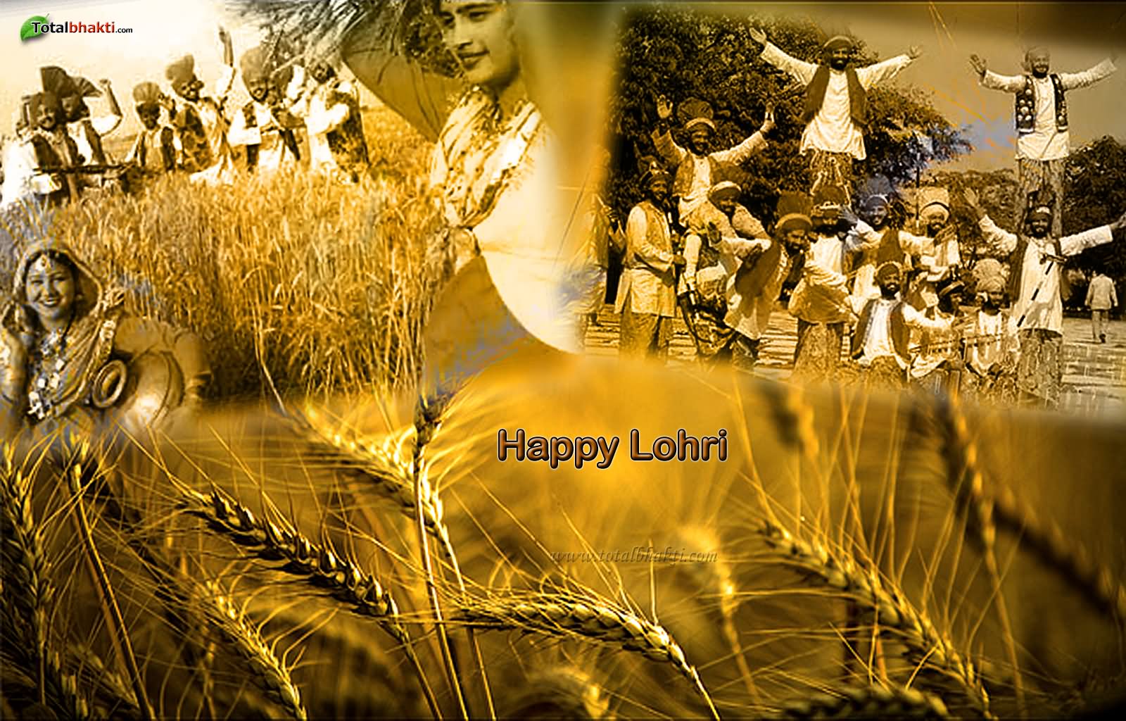 fondo de pantalla de lohri,amarillo,familia de la hierba,césped,fuente,planta