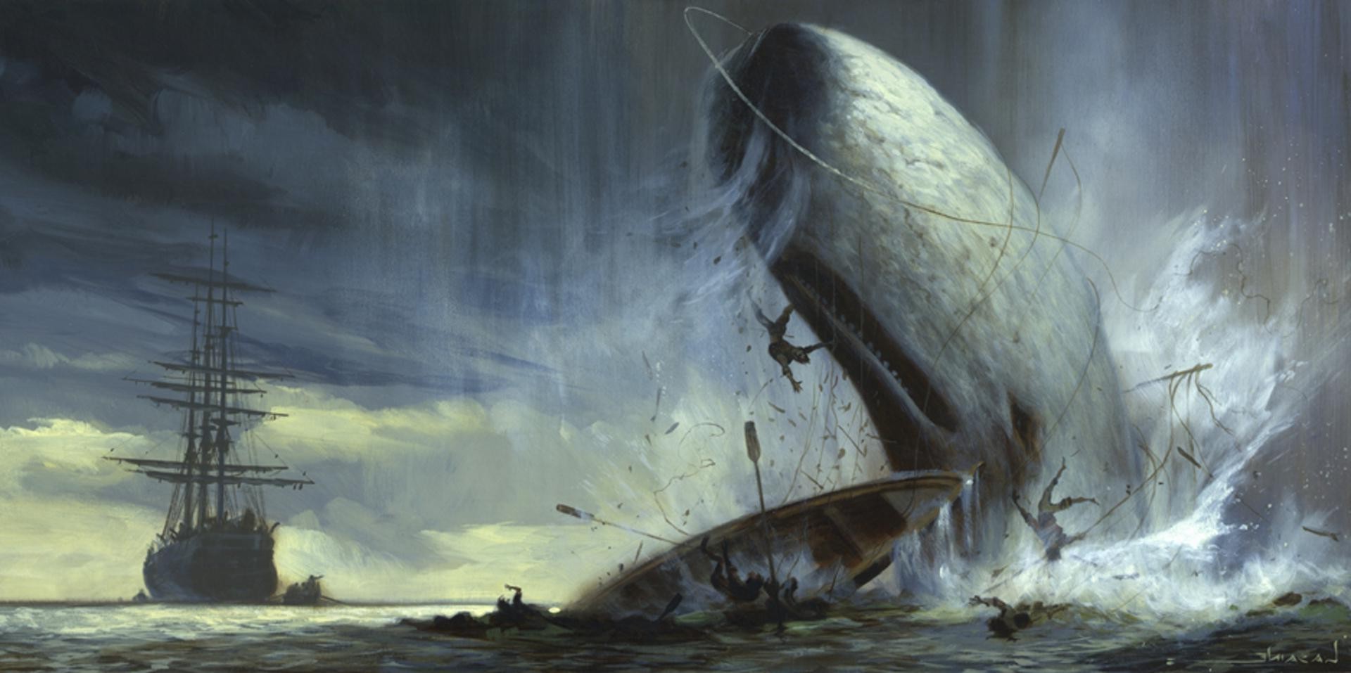 fond d'écran moby dick,oeuvre de cg,véhicule,vent,illustration,vague