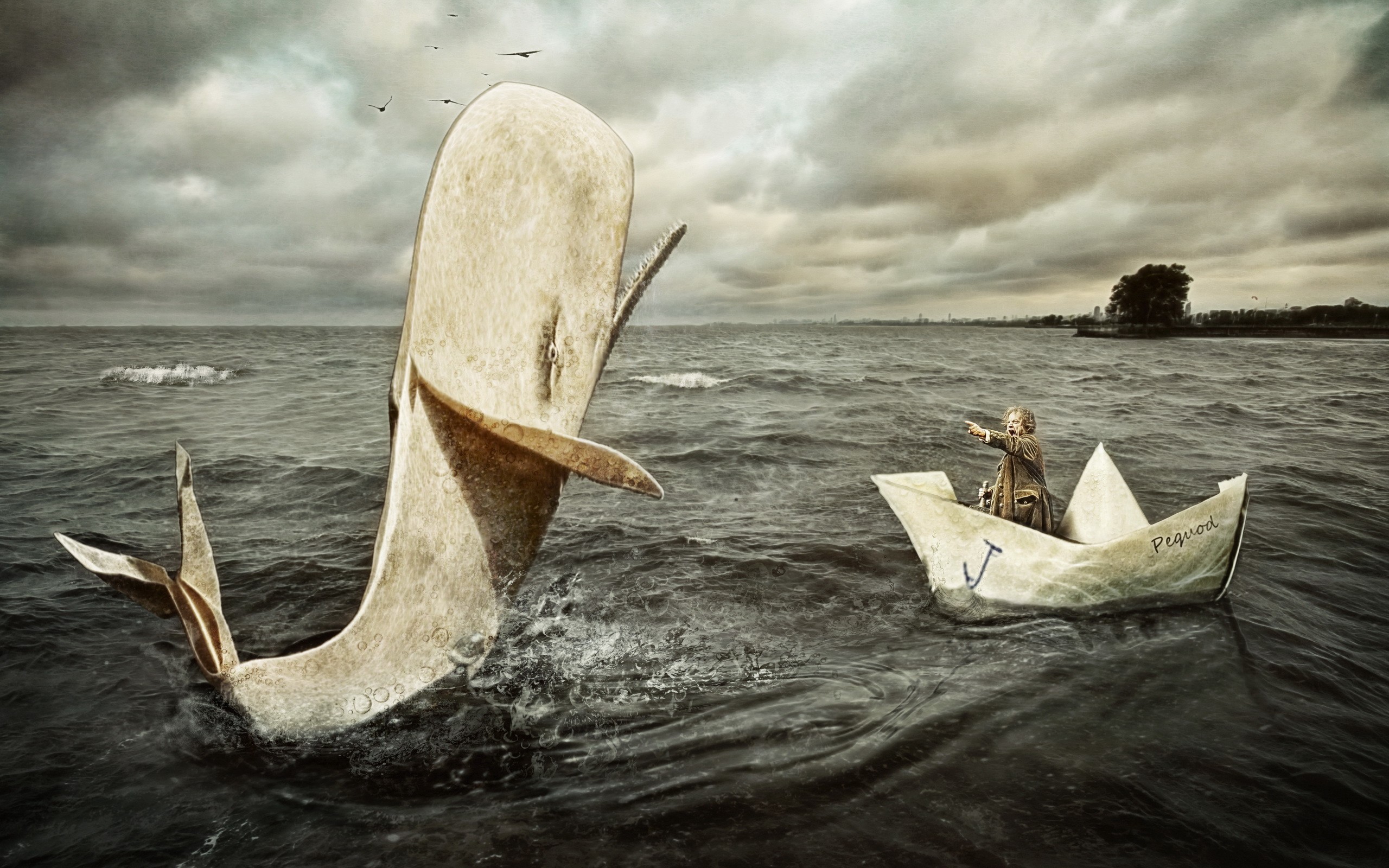 moby dick wallpaper,veicolo,barca,trasporto per via d'acqua,calma,legna