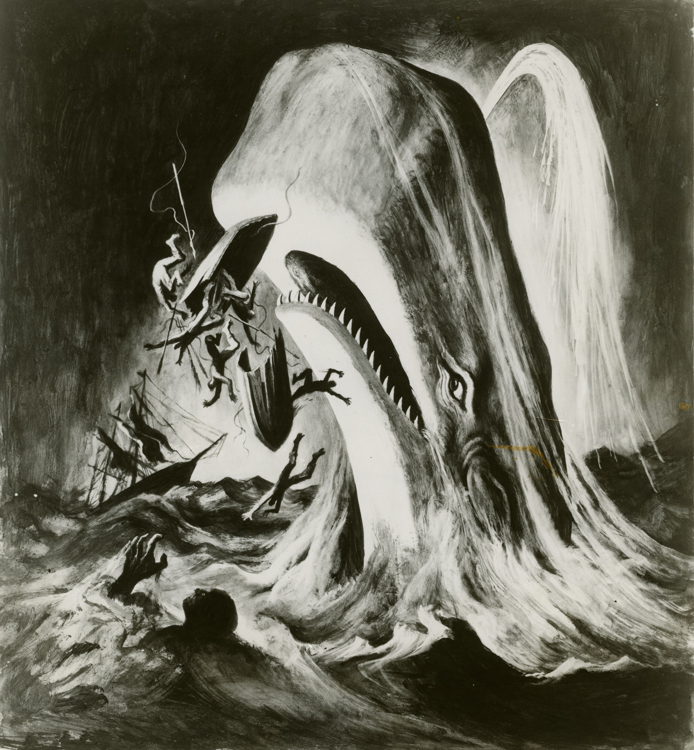 Fondo de pantalla de moby dick dibujo ilustraci n arte bosquejo