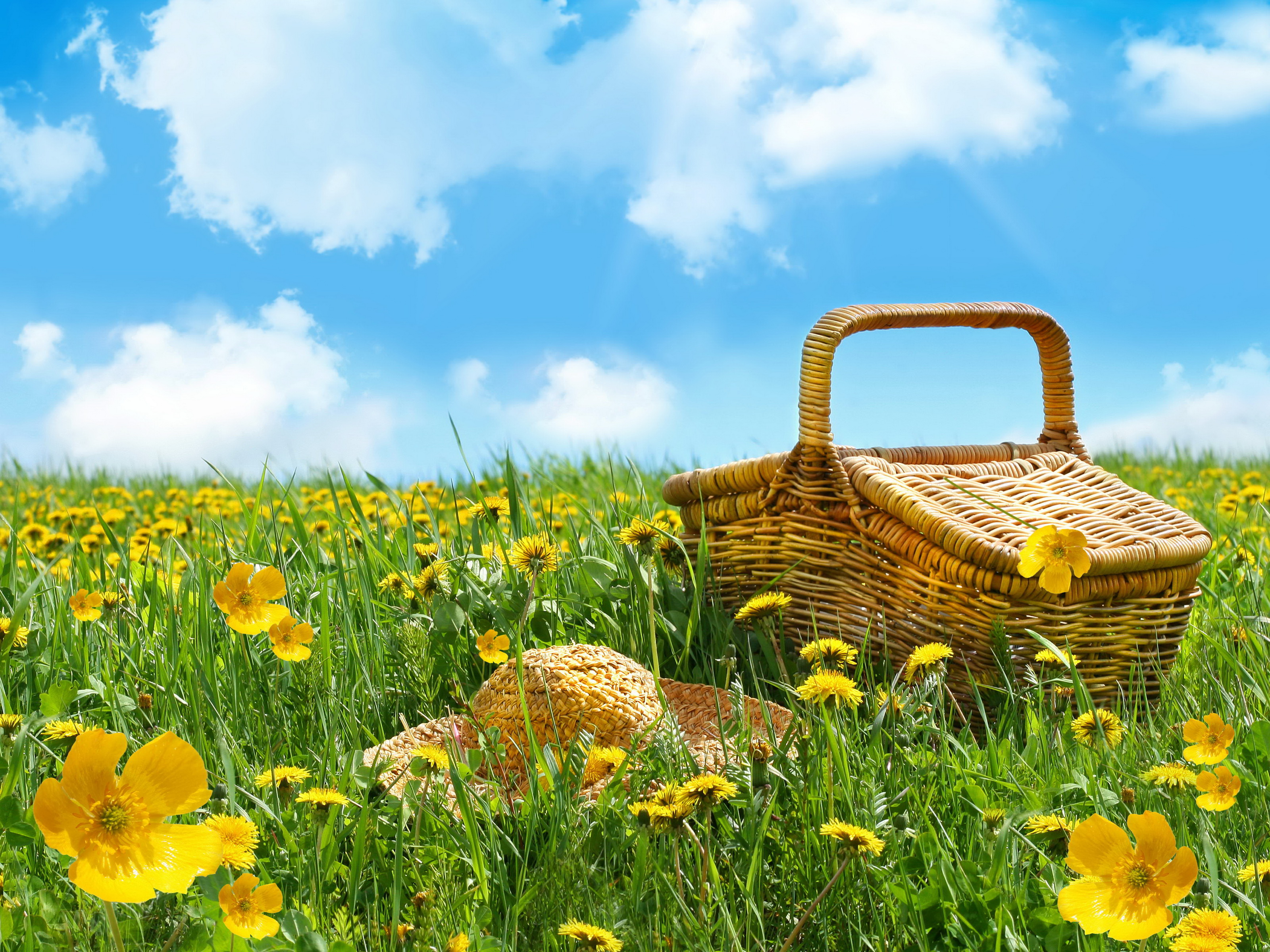 ピクニック壁紙,自然の風景,牧草地,自然,ピクニックバスケット,草原