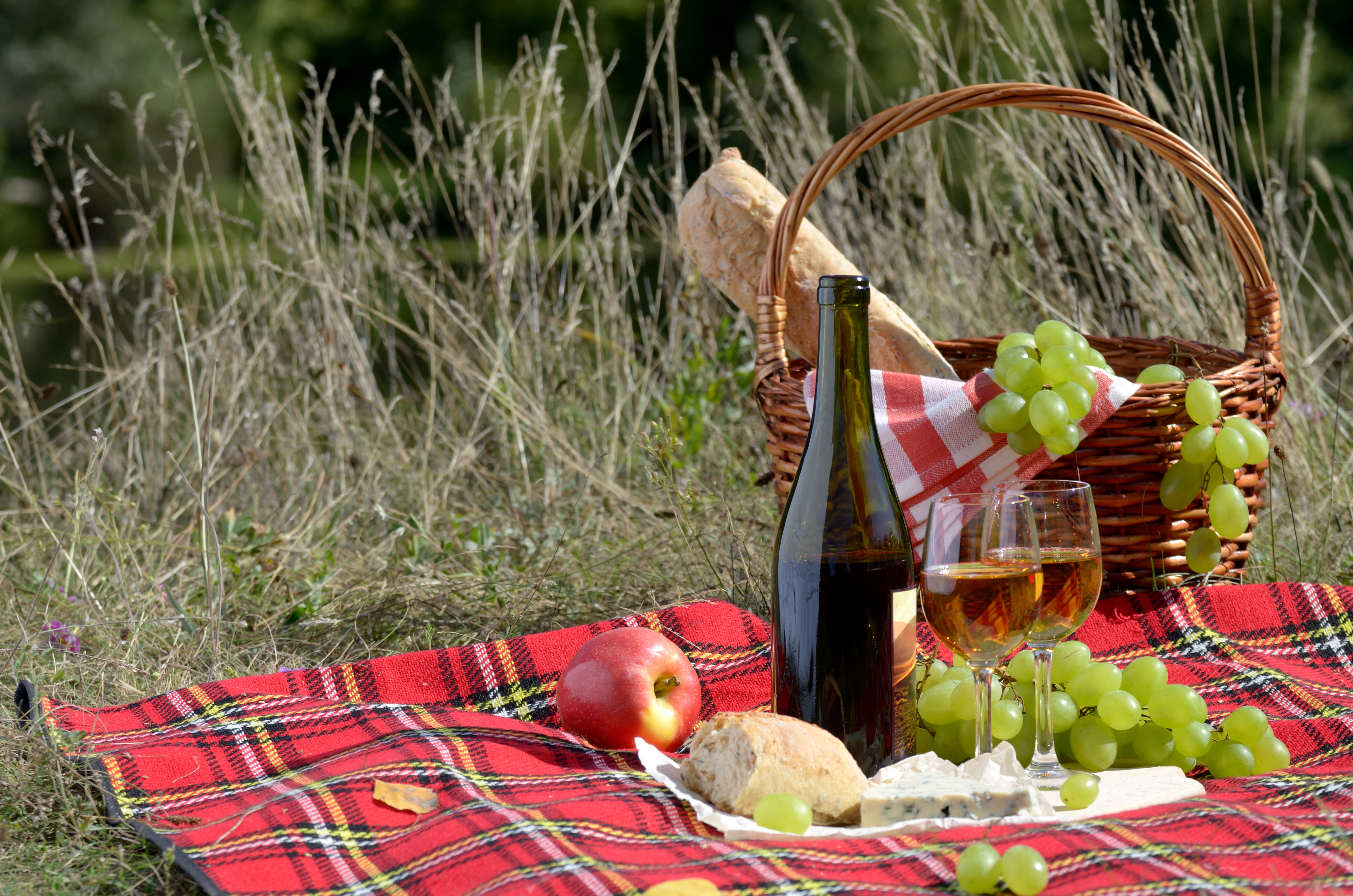 picnic wallpaper,basket,picnic basket,picnic,storage basket,gift basket