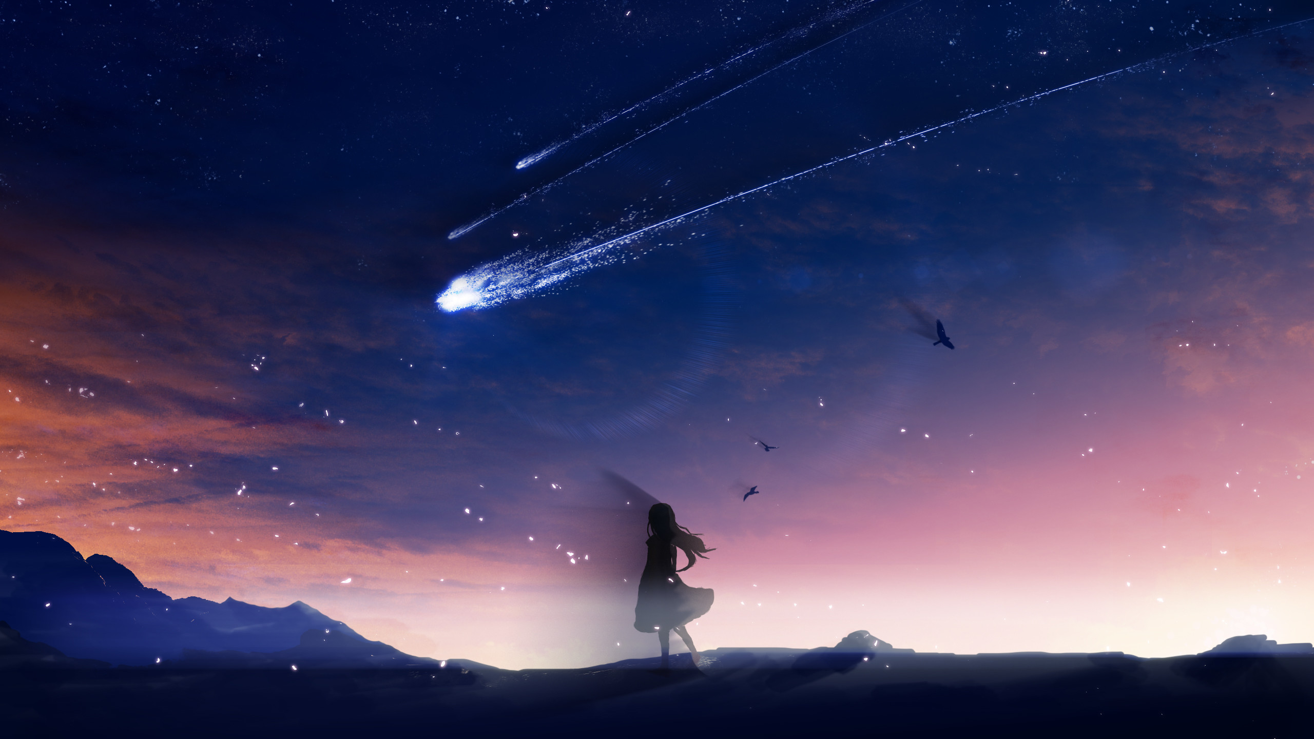 anime wallpaper 1440x900,himmel,wolke,atmosphäre,nacht,horizont