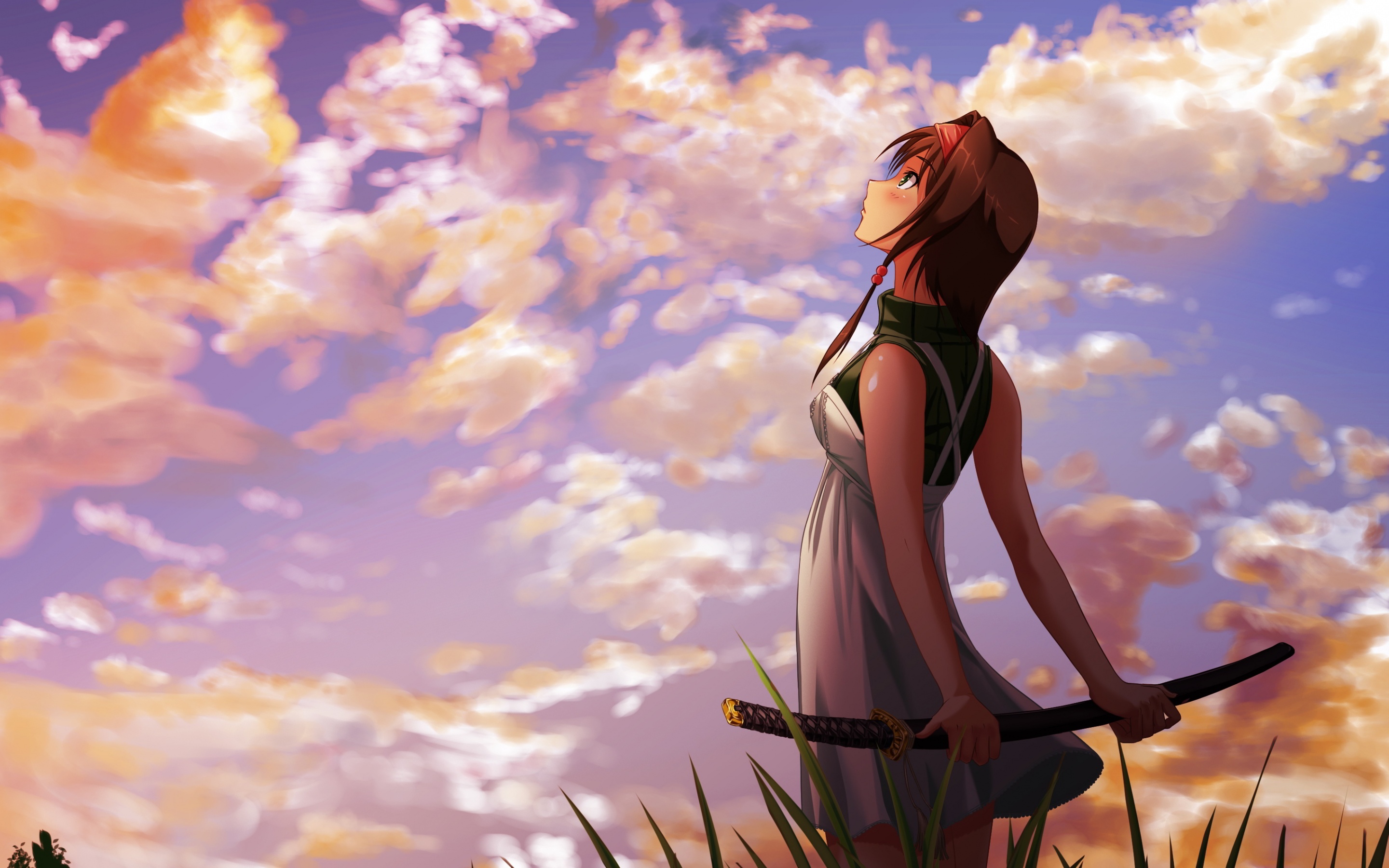 female anime wallpaper,cg artwork,sky,anime,long hair,fictional character