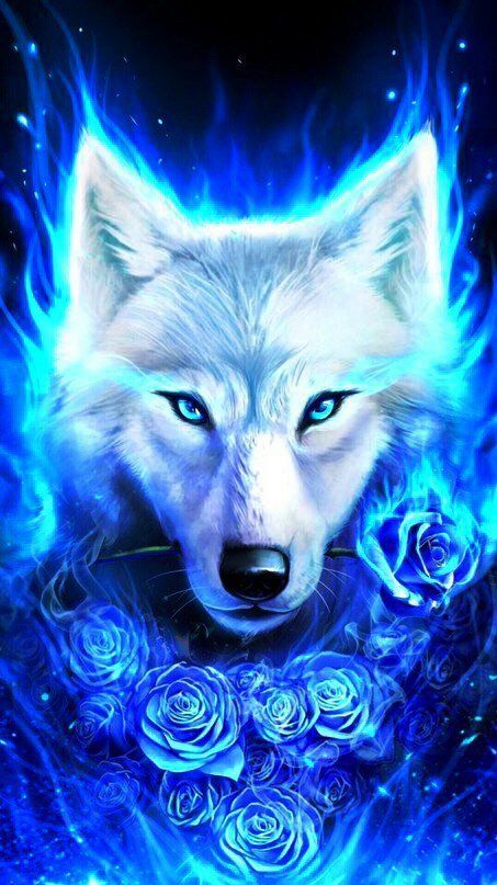 anime drawing wallpaper,blue,wolf,canidae,illustration,canis lupus tundrarum