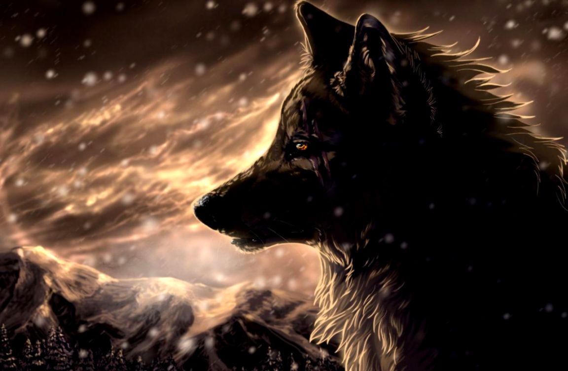 3d anime wallpaper for android,wolf,canidae,sky,snout,wildlife