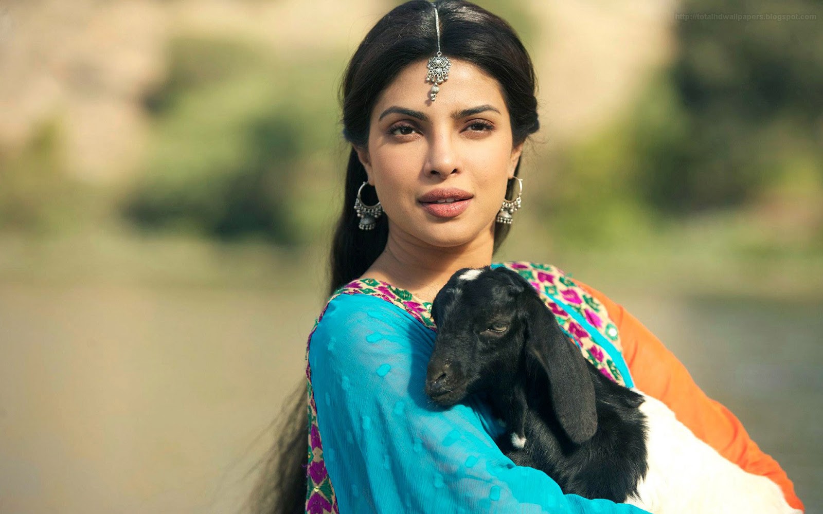 bollywood actress hd wallpapers 1080p,black hair,photography,sari,photo shoot,fawn