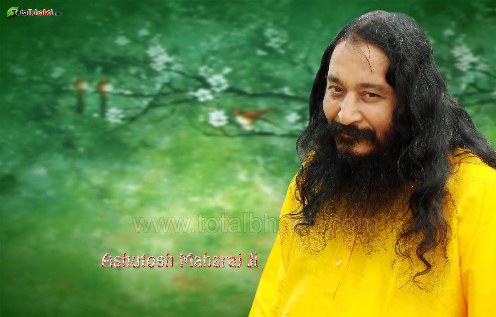 ashutosh name wallpaper,beard,facial hair,long hair,guru,plant