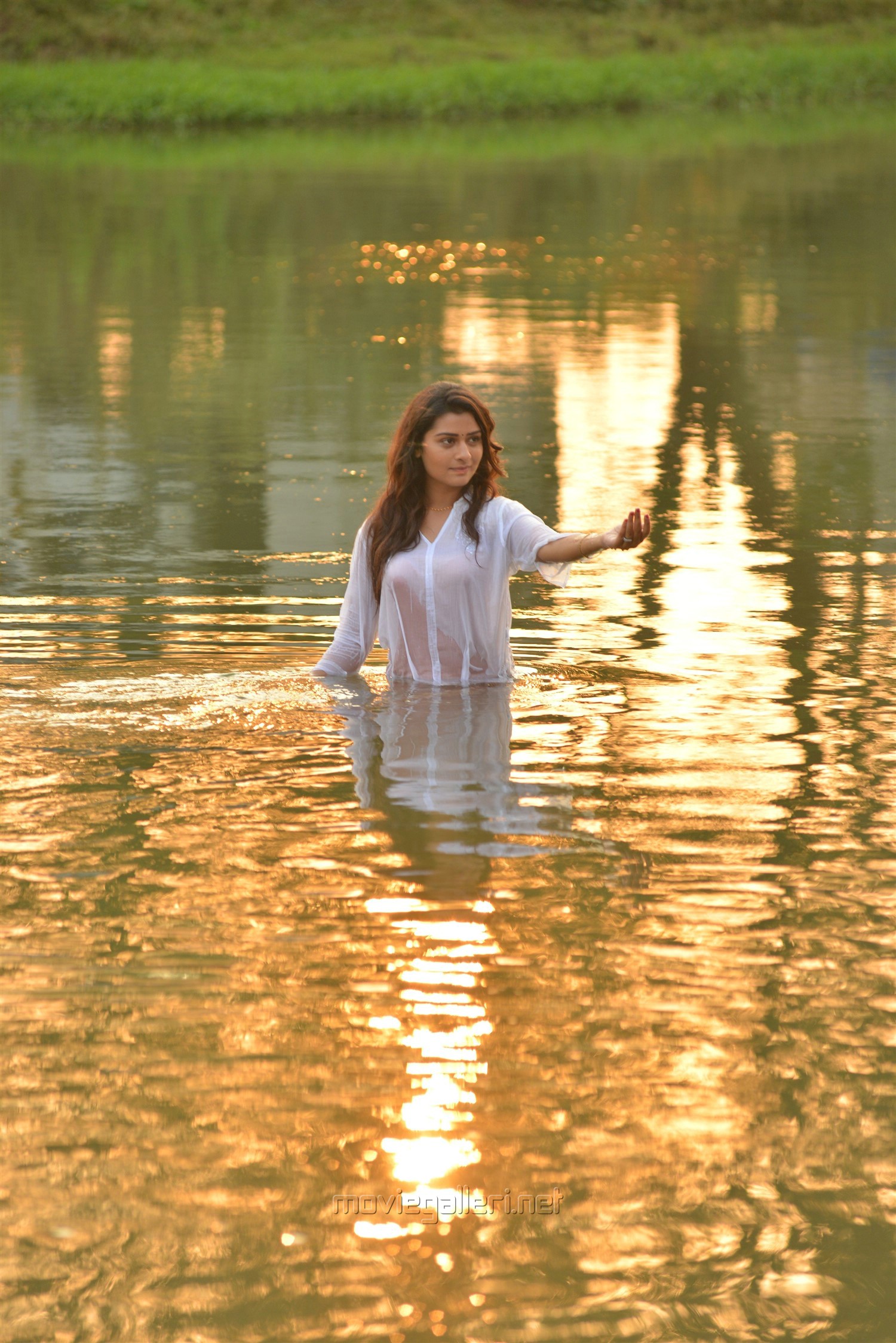 fond d'écran nom payal,la nature,réflexion,l'eau,banque,ressources en eau