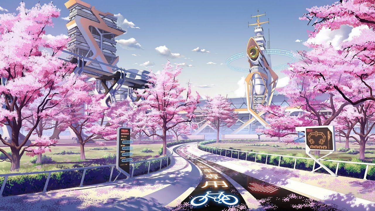 animes wallpapers full hd,blossom,flower,spring,plant,cherry blossom