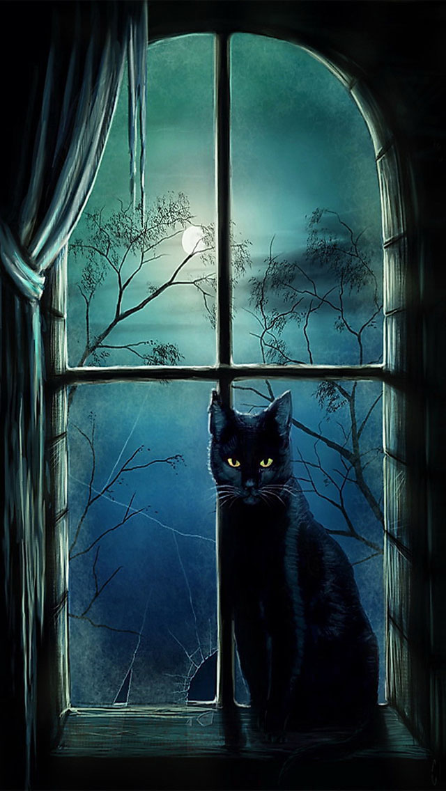 魔女のアイフォーン用壁紙,黒猫,ネコ,ネコ科,ひげ,闇