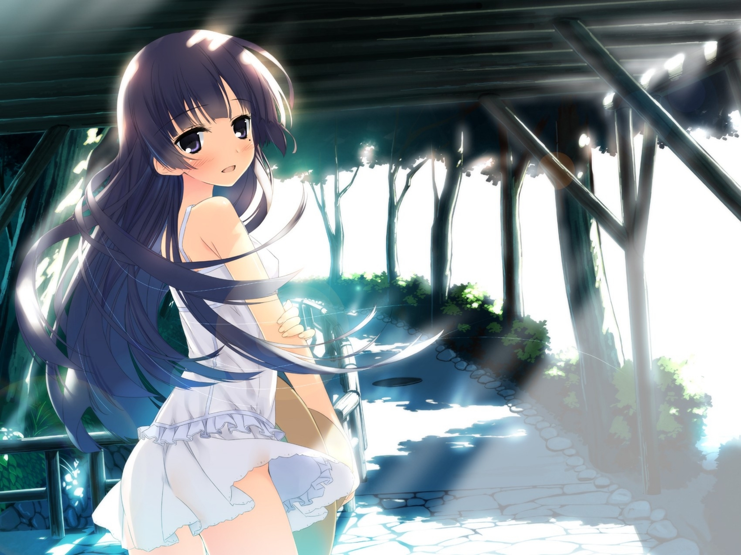 kuroneko wallpaper,cartoon,anime,cg artwork,black hair,long hair