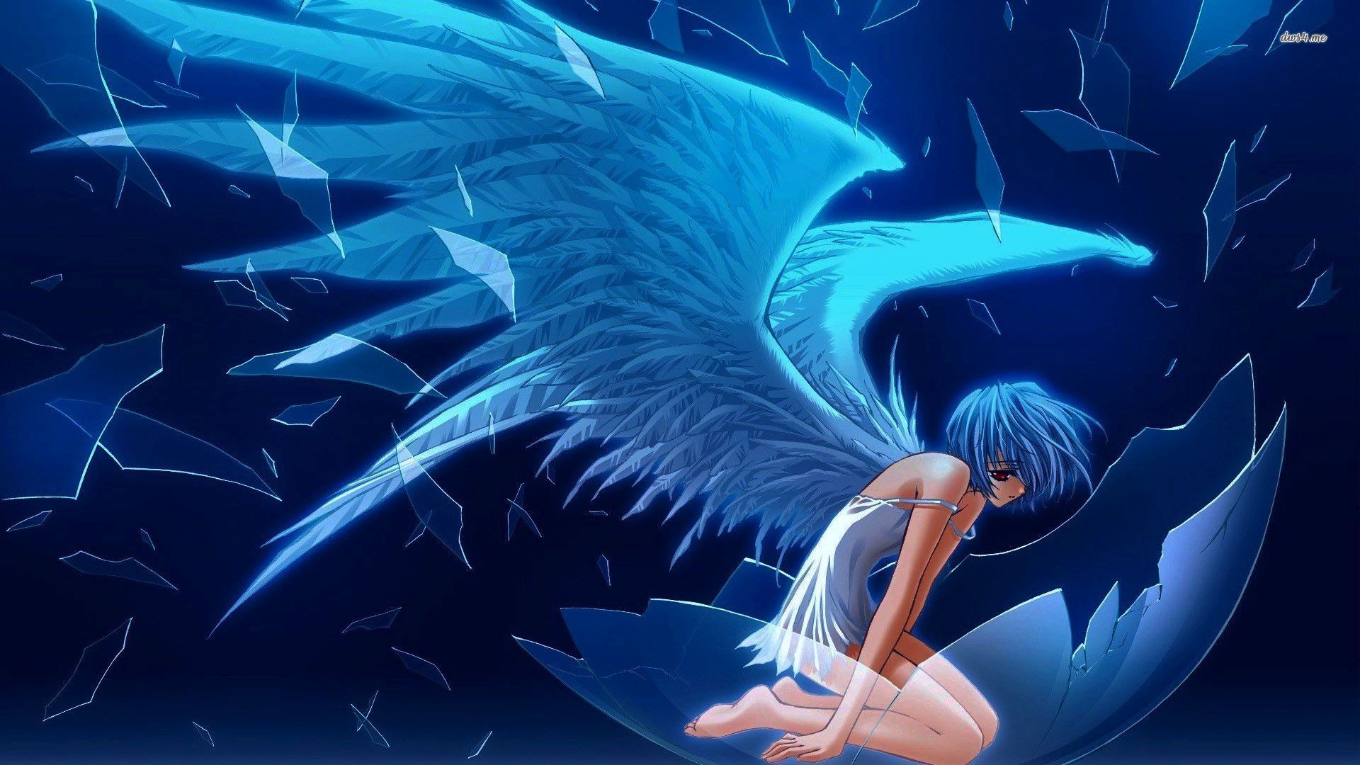 fond d'écran anime bleu,oeuvre de cg,personnage fictif,illustration,anime,créature mythique