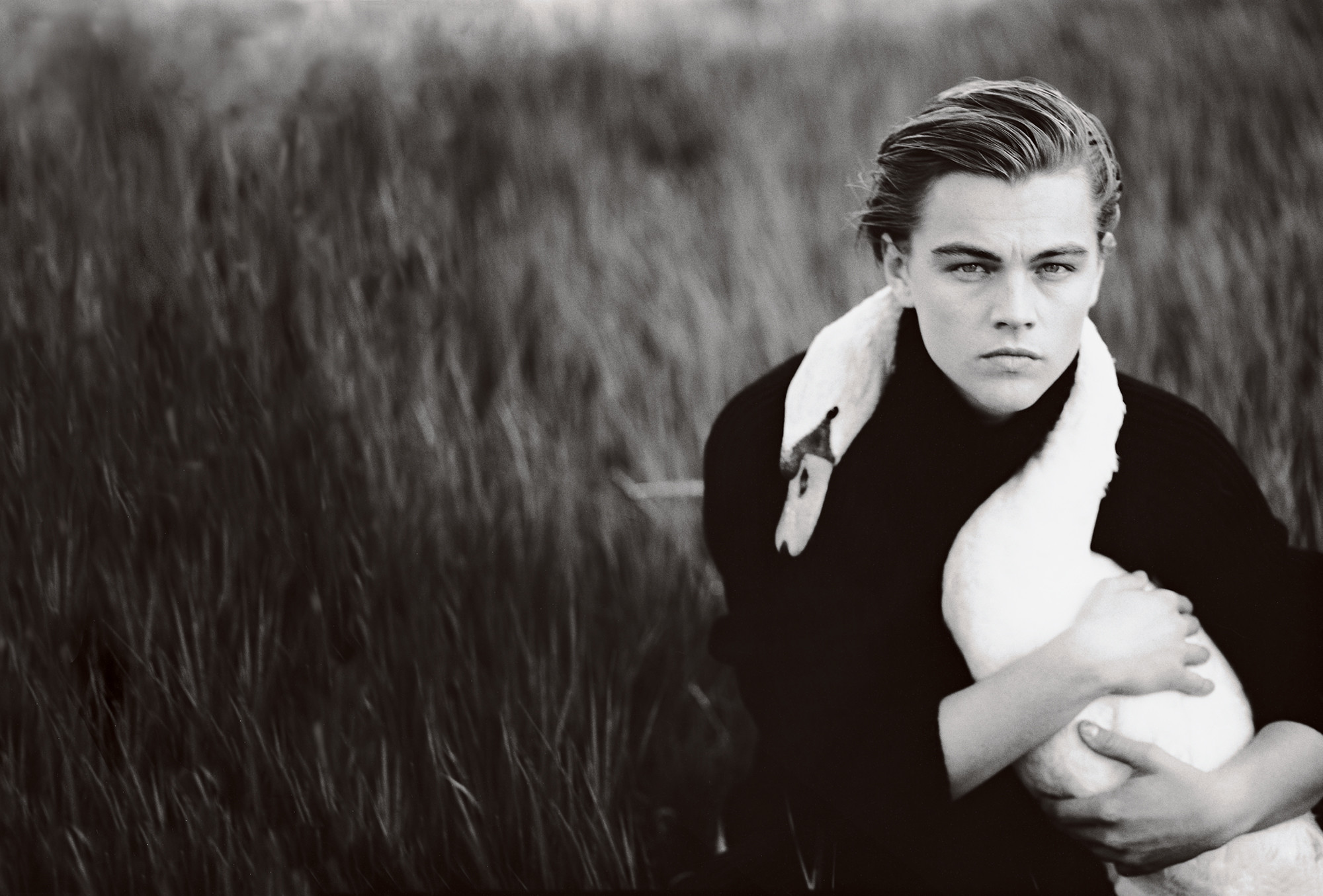 young leonardo dicaprio wallpaper,people in nature,photograph,black and white,monochrome photography,portrait
