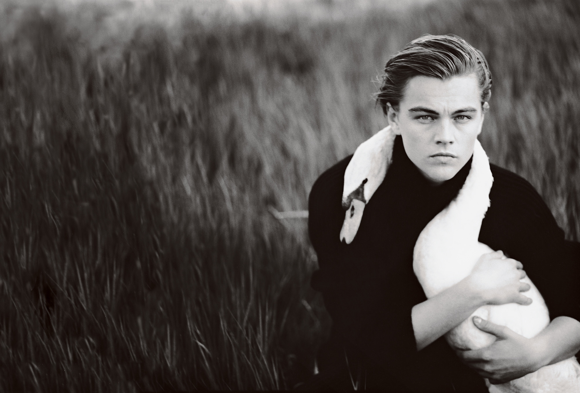 jeune leonardo dicaprio fond d'écran,photographier,noir et blanc,photographie monochrome,portrait,beauté