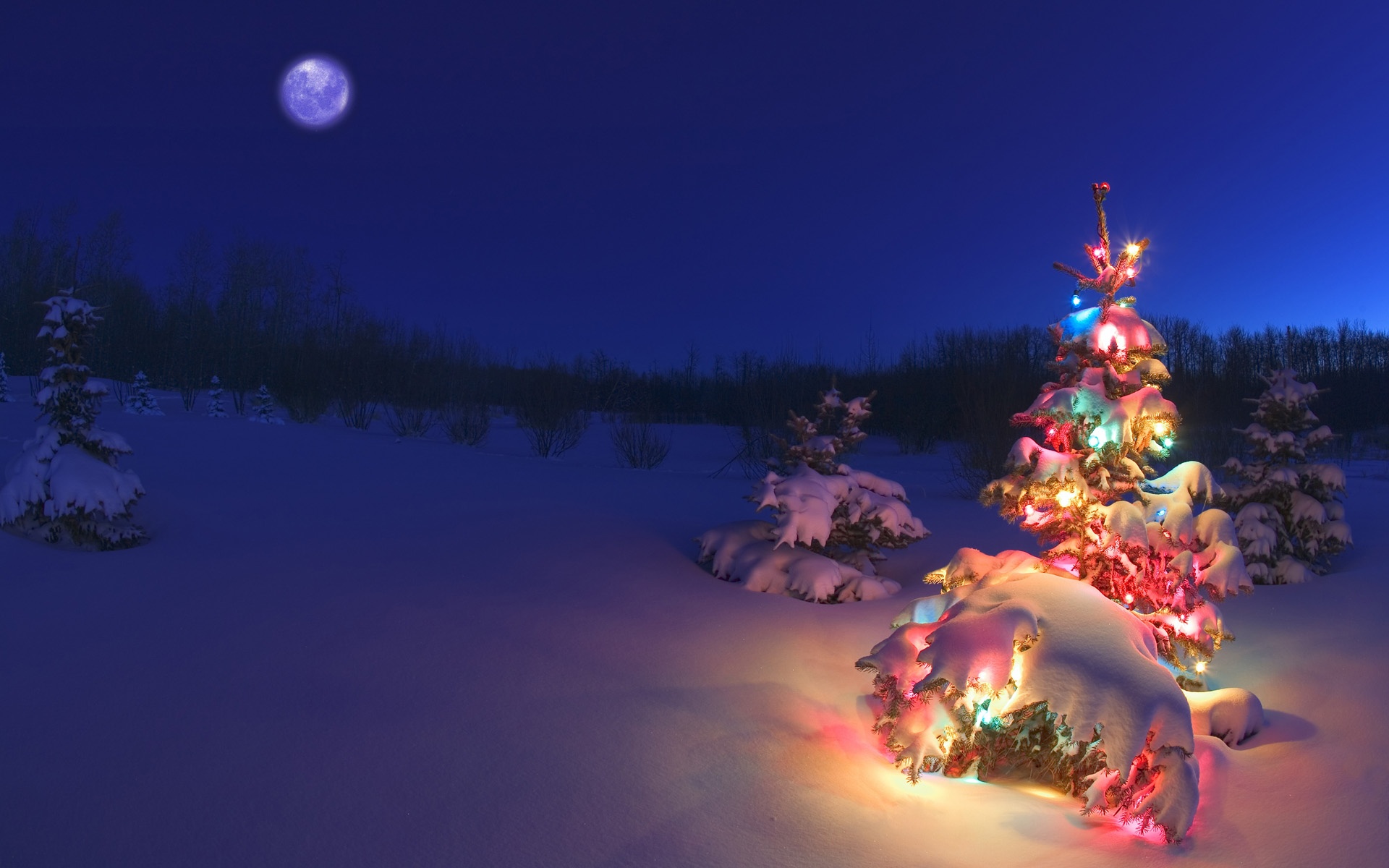 pretty christmas wallpaper,nature,christmas tree,sky,winter,christmas