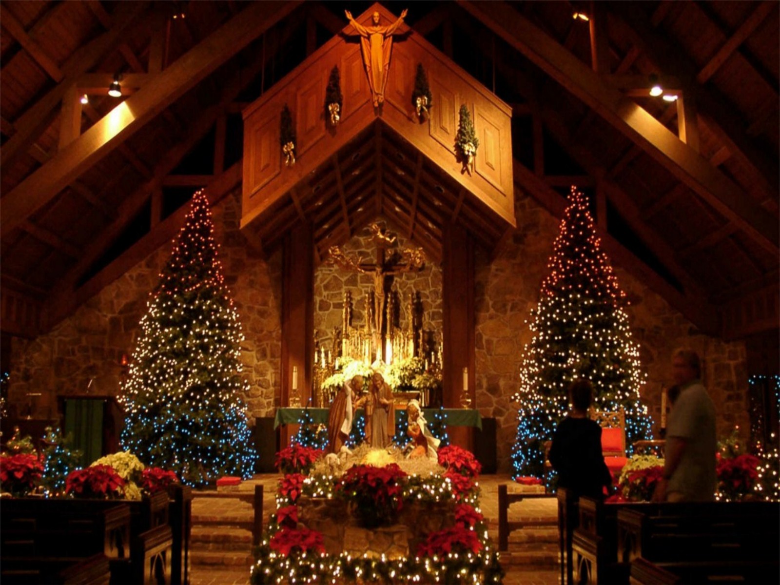 bonito fondo de pantalla de navidad,decoración navideña,navidad,árbol de navidad,encendiendo,tradicion
