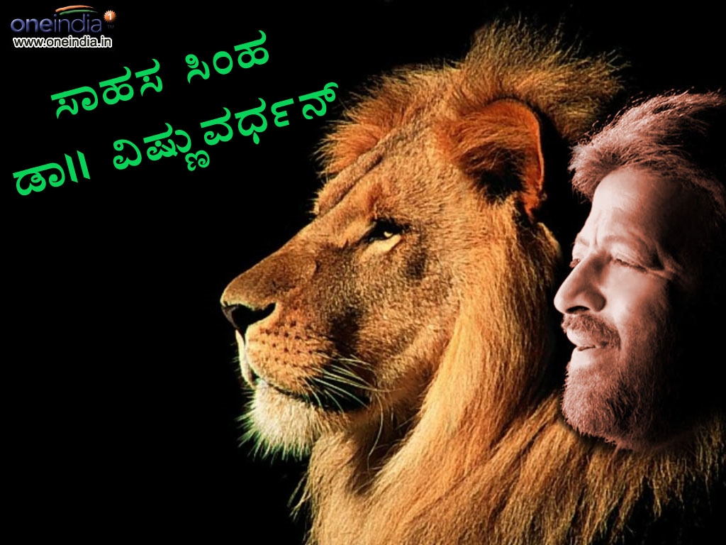 vishnuvardhan wallpaper,lion,wildlife,felidae,masai lion,big cats