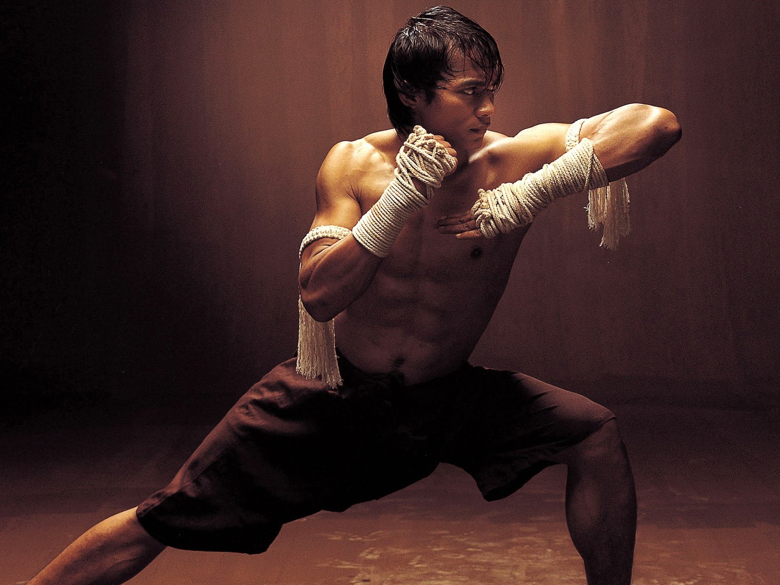 tony jaa wallpaper,kung fu,kung fu,muscle,dancer,kalaripayattu