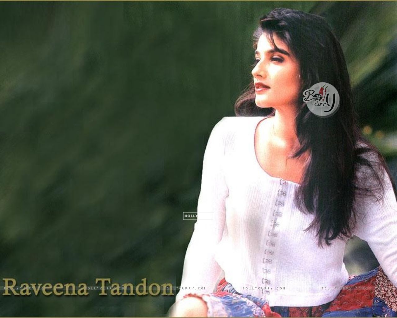 raveena tandon wallpaper,beauty,nose,black hair,lip,cool