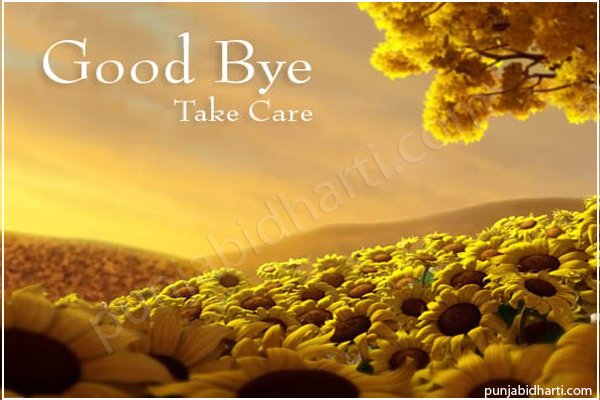 bye wallpaper,nature,yellow,natural landscape,morning,adaptation