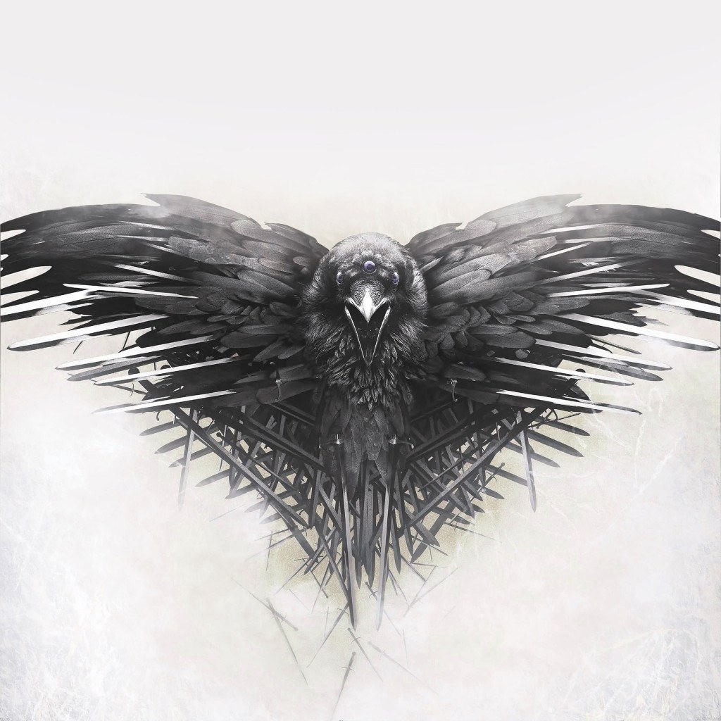 beste game of thrones wallpaper,flügel,vogel,feder,schwarz und weiß,raubvogel