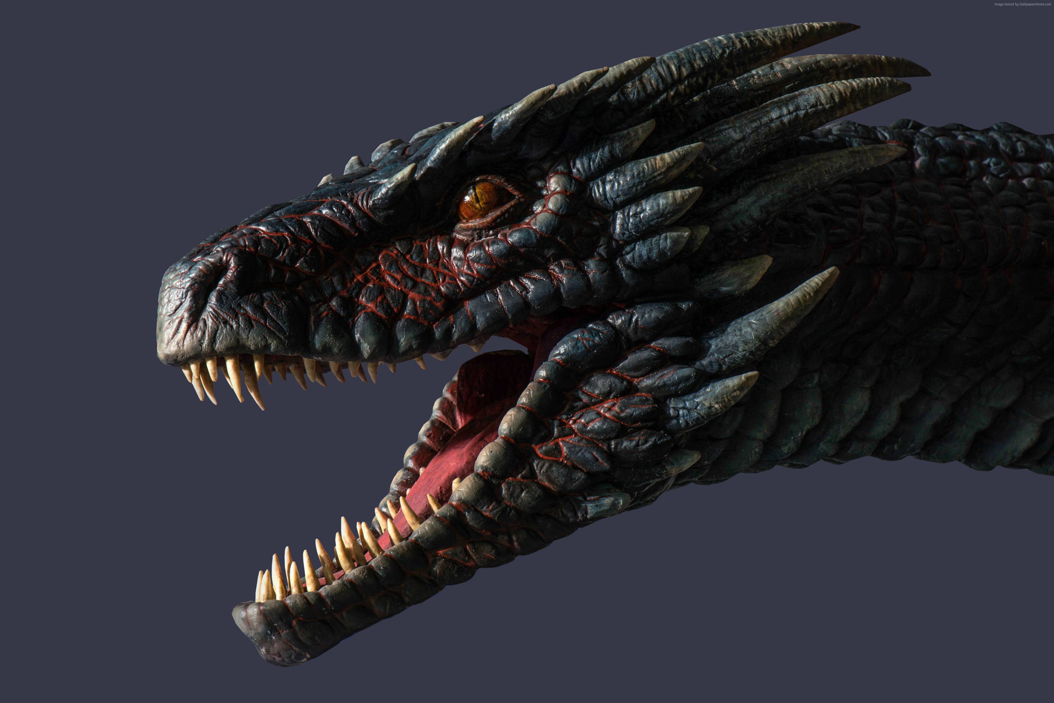 juego de tronos dragon wallpaper,dinosaurio,velociraptor,modelado 3d,tiranosaurio,mandíbula