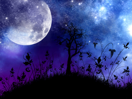 belle lumière de lune amour hd fonds d'écran,ciel,la nature,clair de lune,lumière,nuit