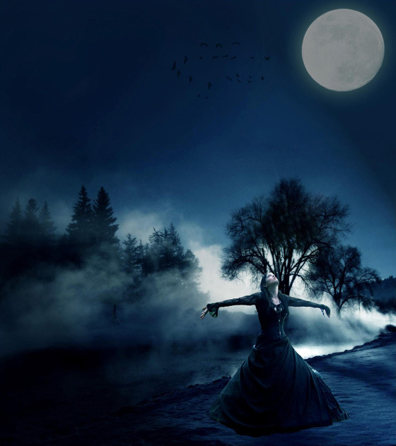 beautiful moon light love hd wallpapers,sky,moonlight,moon,light,tree