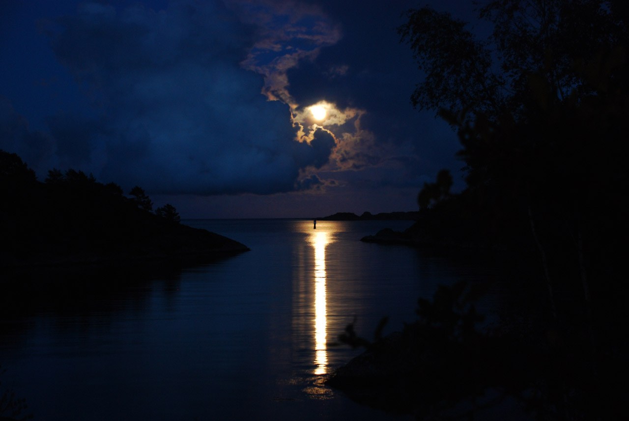 美しい月光愛のhd壁紙,空,月光,月,水,夜