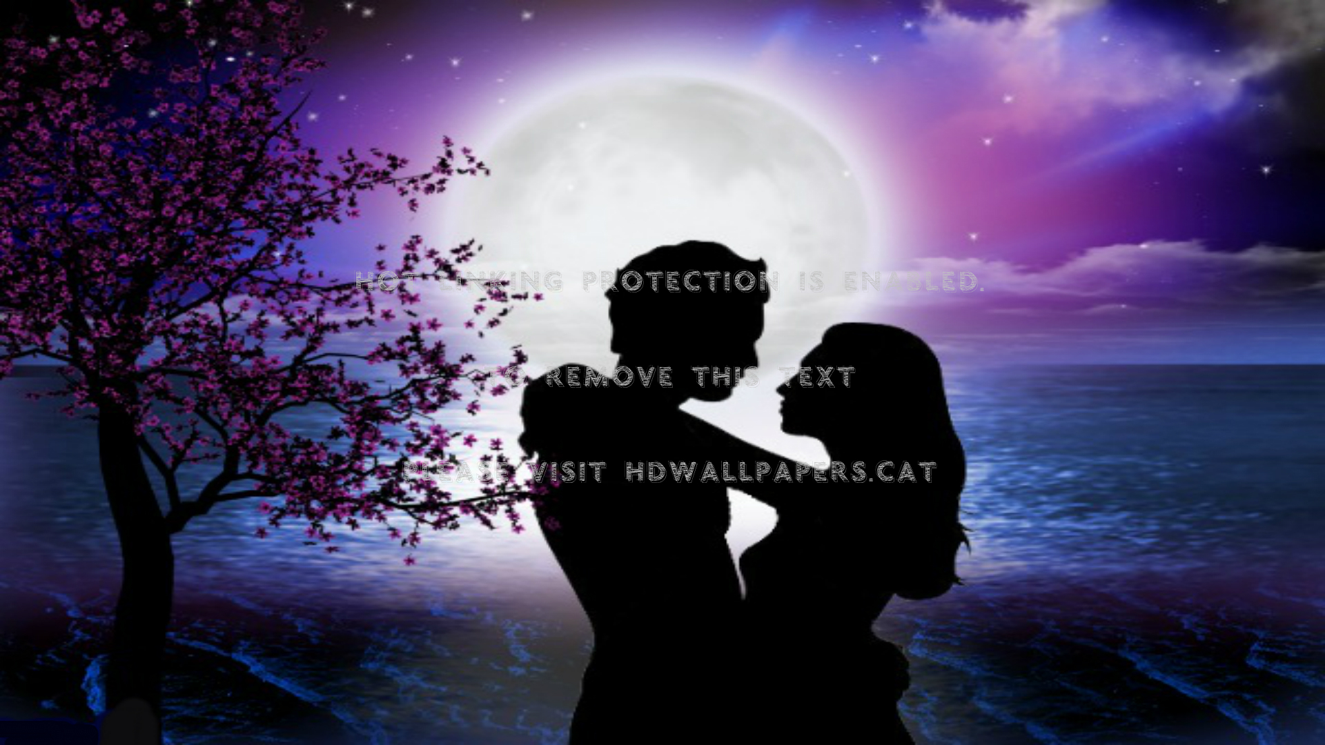 bella luce della luna amore sfondi hd,romanza,cielo,amore,leggero,notte