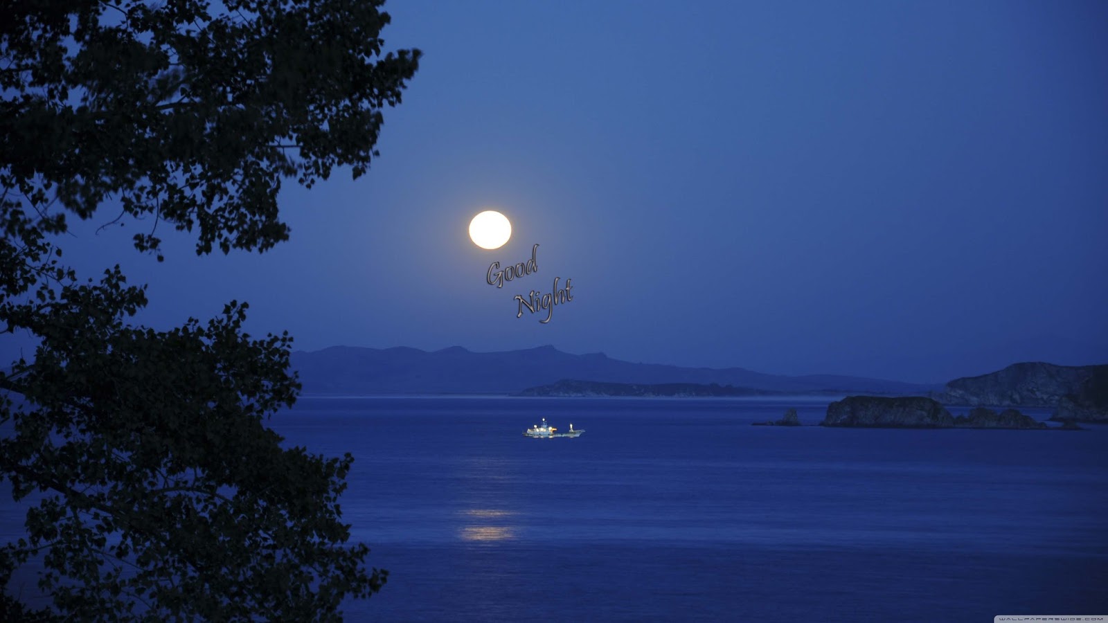 nacht mond tapete hd,himmel,mond,vollmond,mondlicht,natur