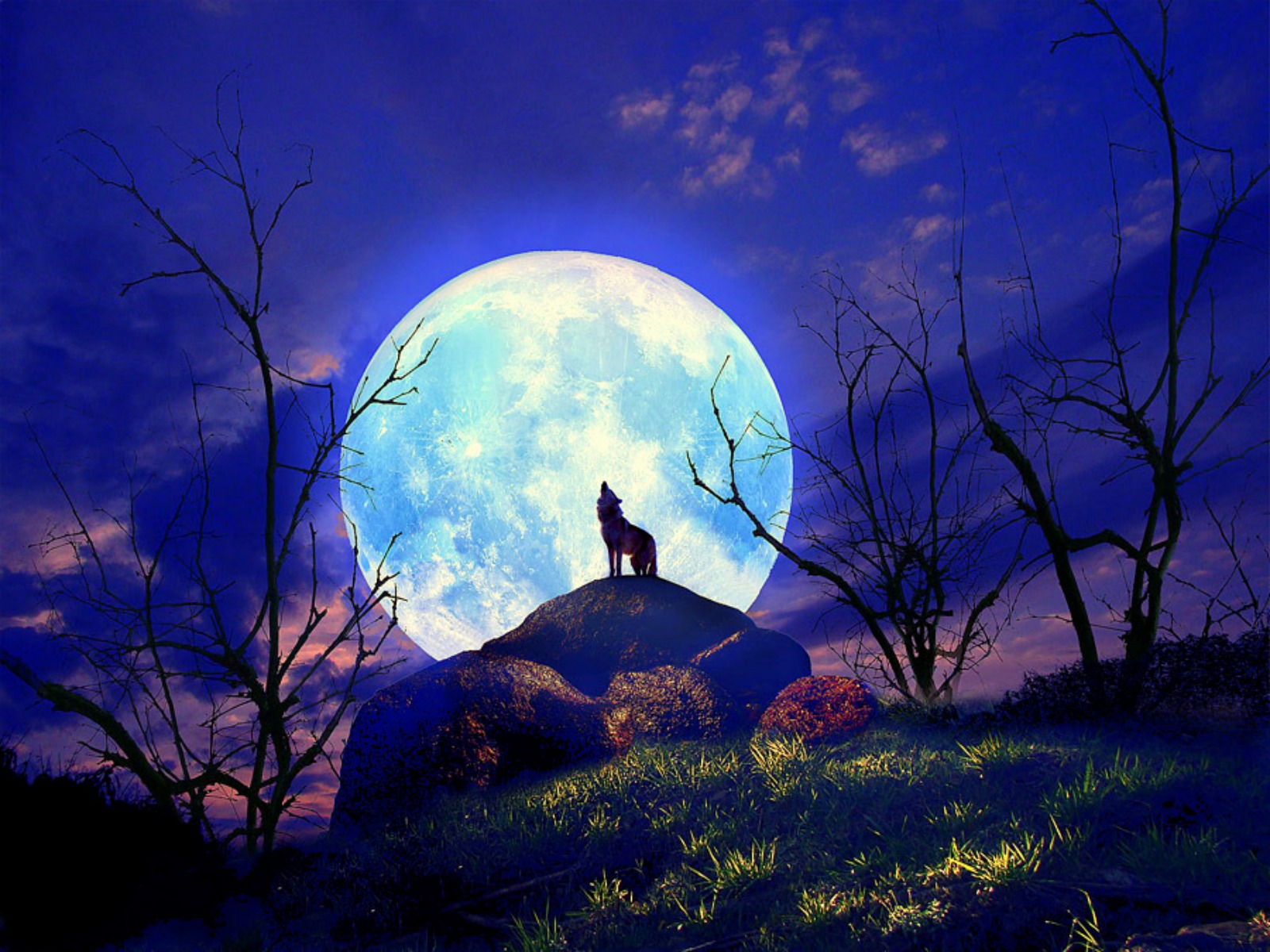 hermosa luz de luna amor fondos de pantalla hd,luna,luna llena,naturaleza,cielo,luz de la luna