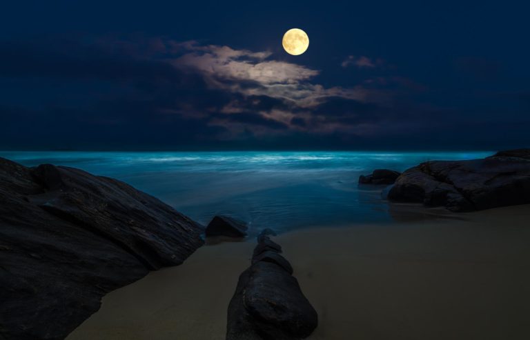 night moon wallpaper hd,sky,nature,moon,moonlight,full moon