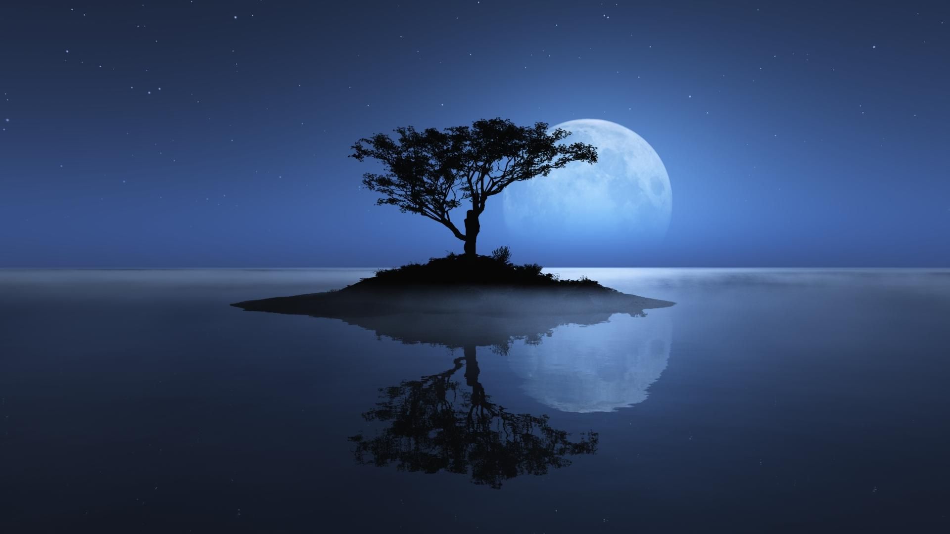 nuit lune fond d'écran hd,la nature,paysage naturel,ciel,arbre,ressources en eau
