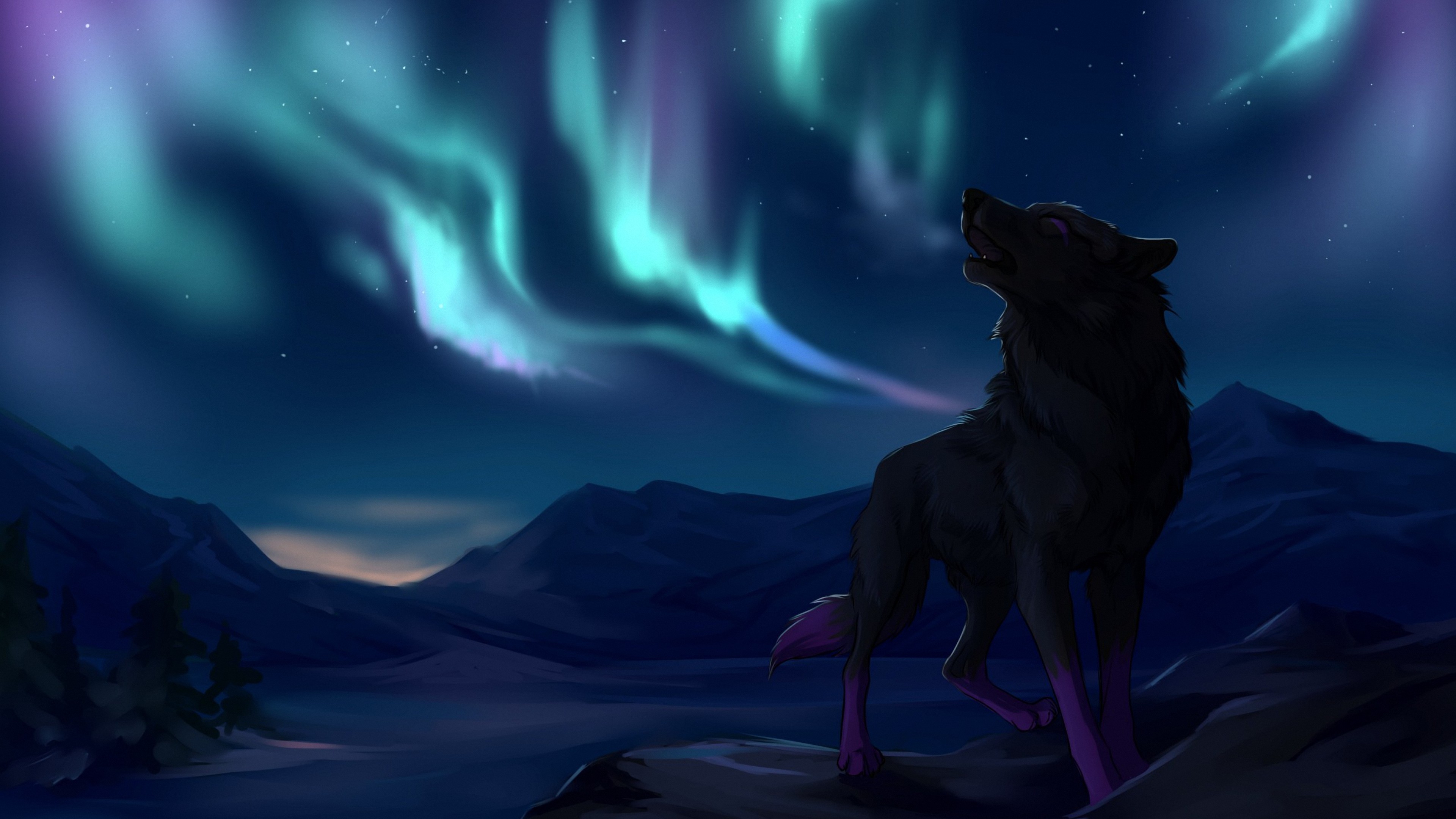 hermosa luz de luna amor fondos de pantalla hd,cielo,ligero,lobo,aurora,atmósfera